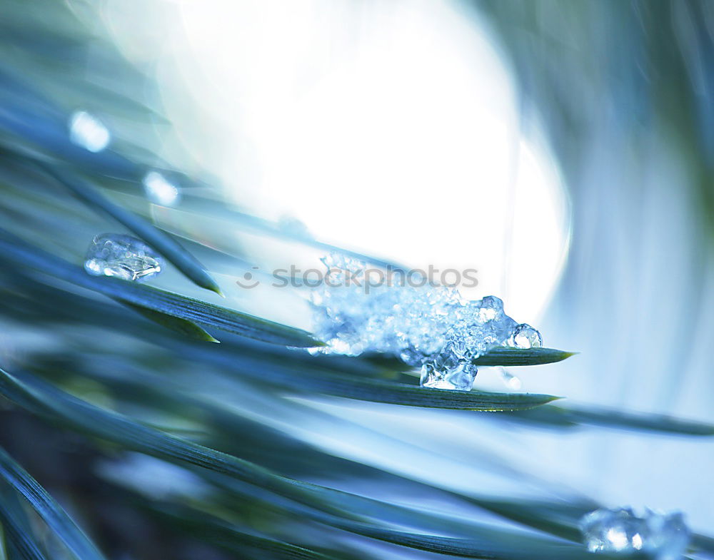 Similar – Image, Stock Photo cold dish Drops of water