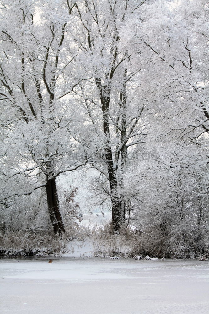 Similar – Foto Bild Winterbild Sonnenuntergang