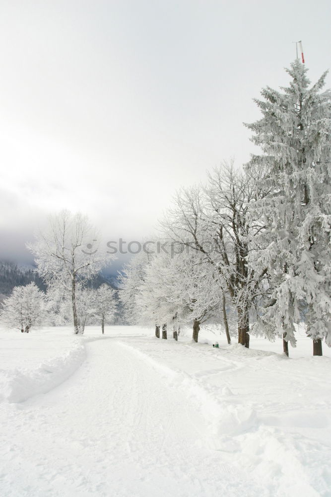 Similar – Image, Stock Photo for all winter haters