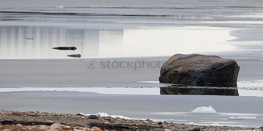 Similar – amsee Grass Lake Stone