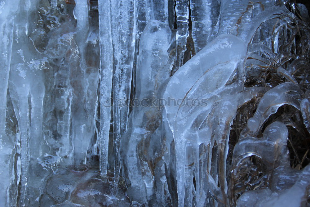 Similar – Image, Stock Photo frost magic Lake Brook Bog