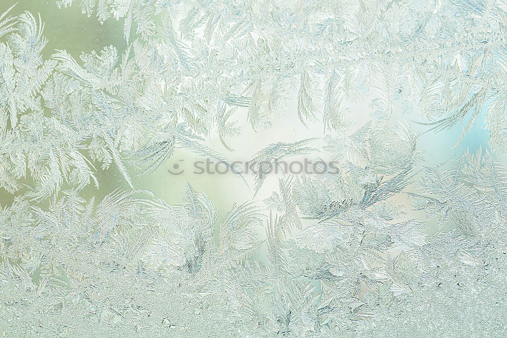 Similar – Image, Stock Photo ice leaves Design