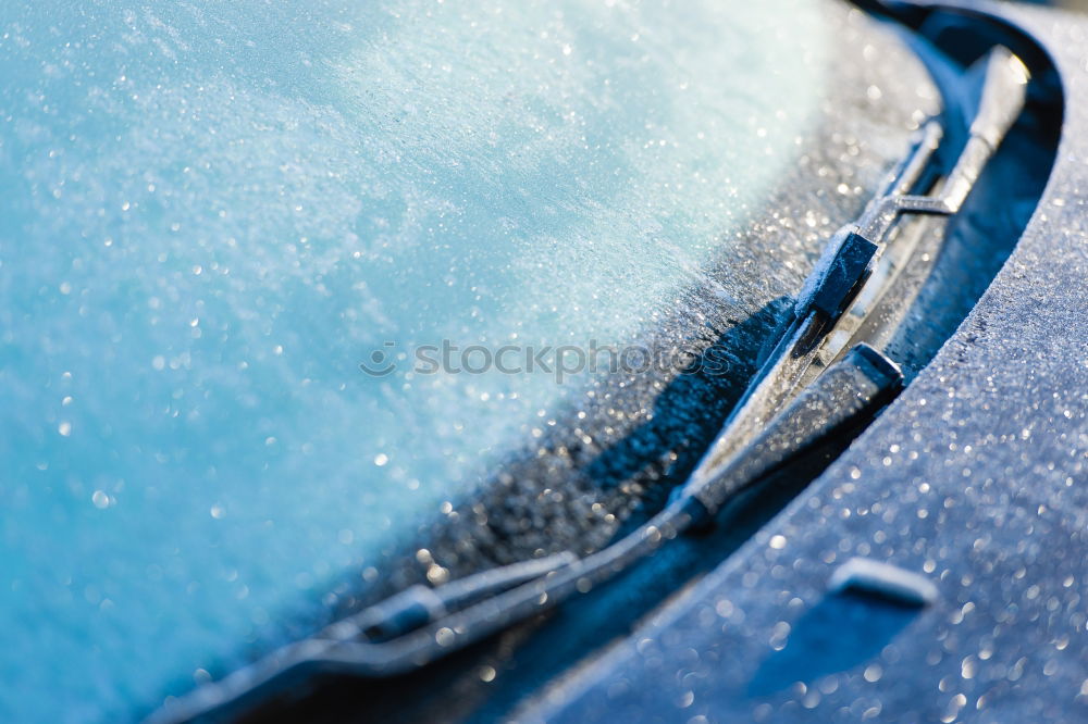 Similar – Image, Stock Photo frosty morning in March…