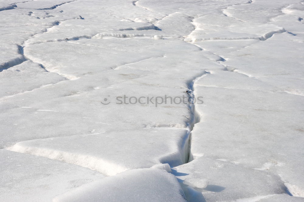 Similar – Viele Spuren Umwelt Natur