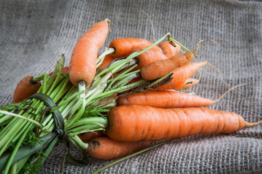 Similar – Image, Stock Photo garden vegetables Food