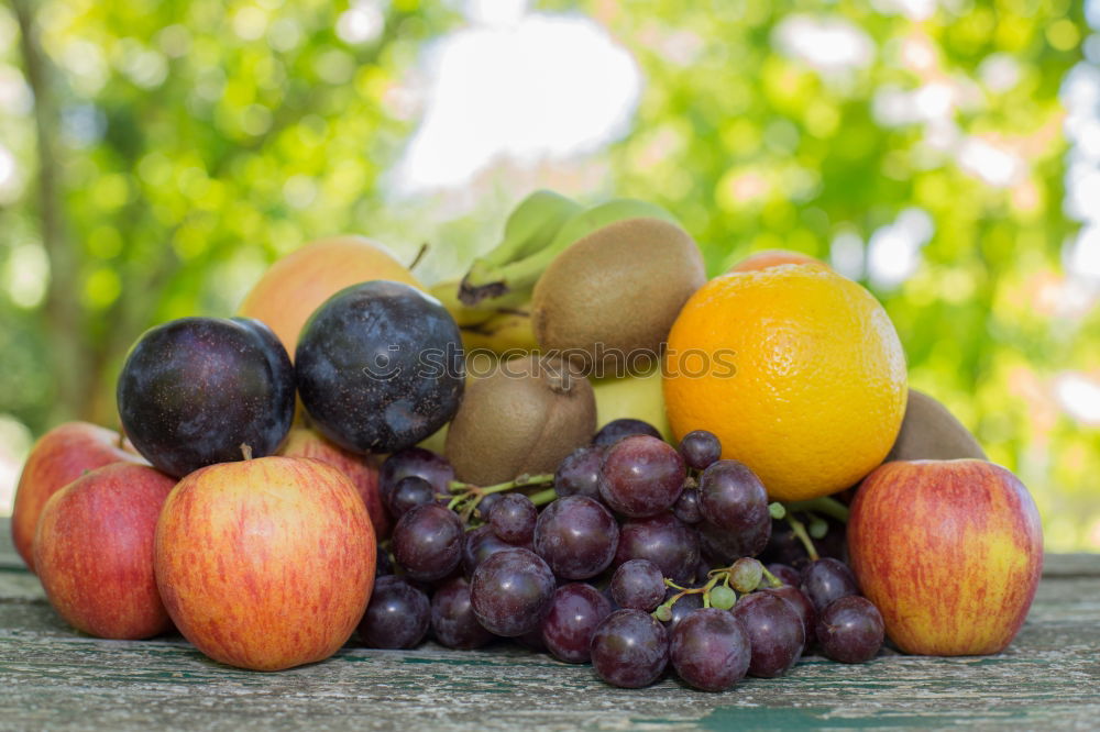 Similar – Image, Stock Photo Mirabelle plums, plums and grapes