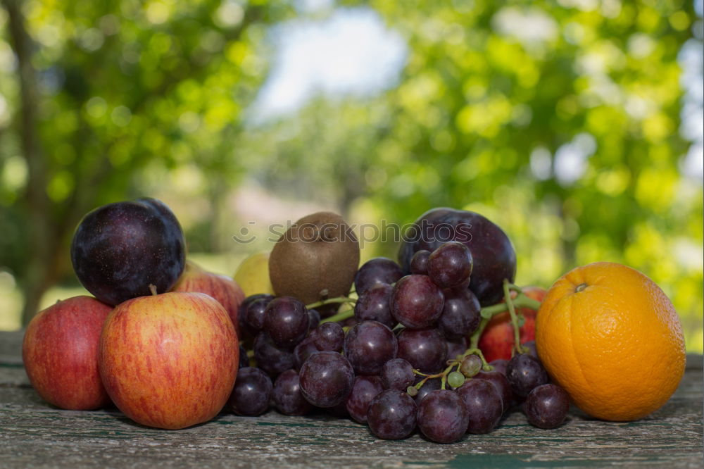 Similar – Image, Stock Photo Fruit basket in the meadow