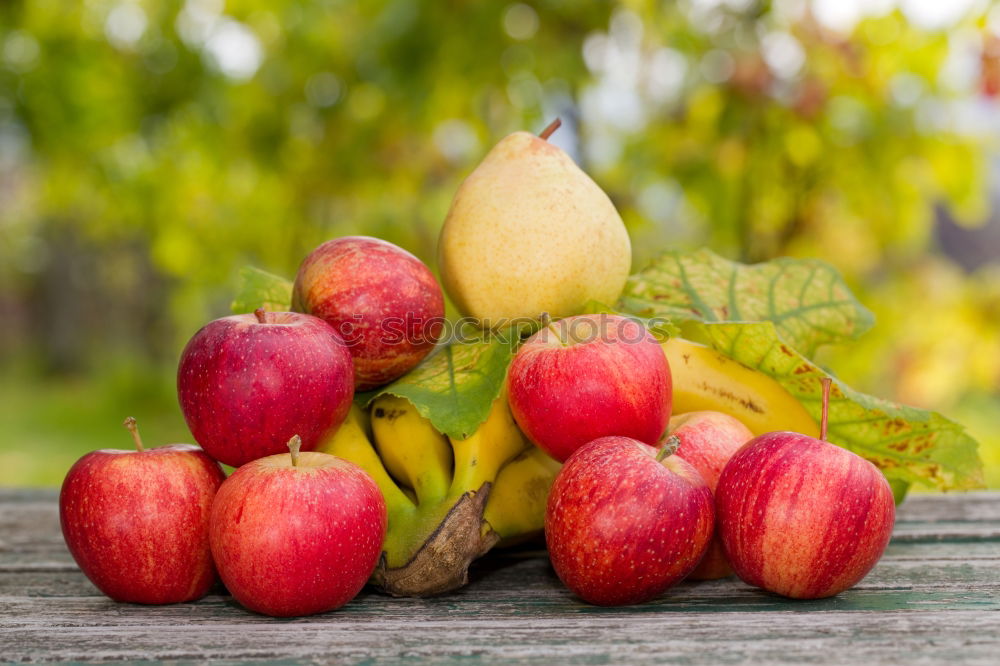 Similar – Ripe apples Fruit Apple