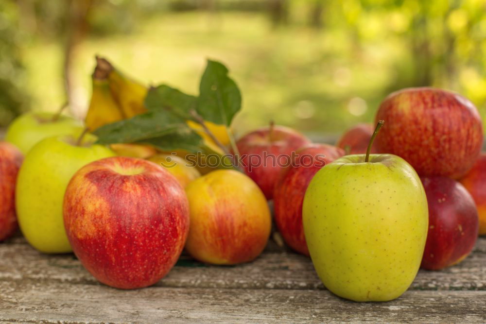 Similar – Image, Stock Photo Apples Diet Summer Garden
