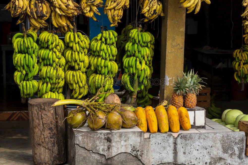 Similar – Image, Stock Photo Hanoi, Vietnam