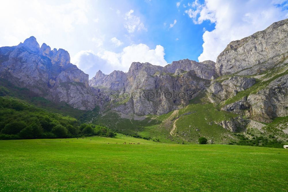 Similar – Mountaineer on a rock and cow on the grass