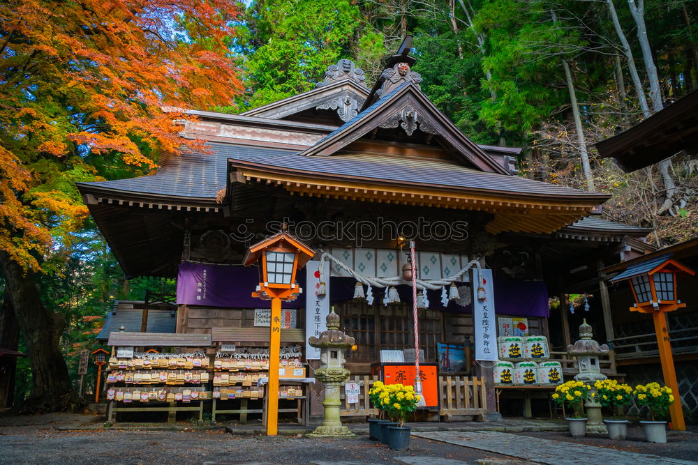 Similar – Image, Stock Photo Traditional Asian building in forest