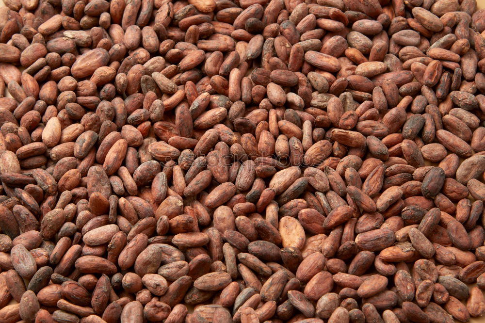 Similar – Image, Stock Photo #A# Nuts Food Nutrition