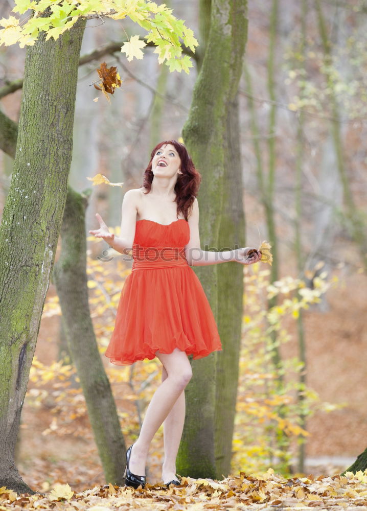 Similar – Image, Stock Photo fairytale forest