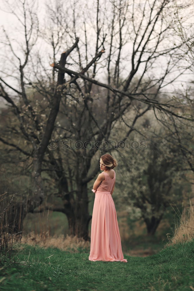 Similar – Young woman in a summer dress standing in an asparagus field