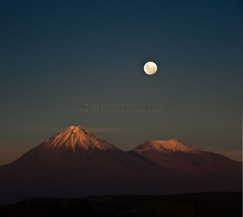 Similar – Image, Stock Photo morning glory Environment