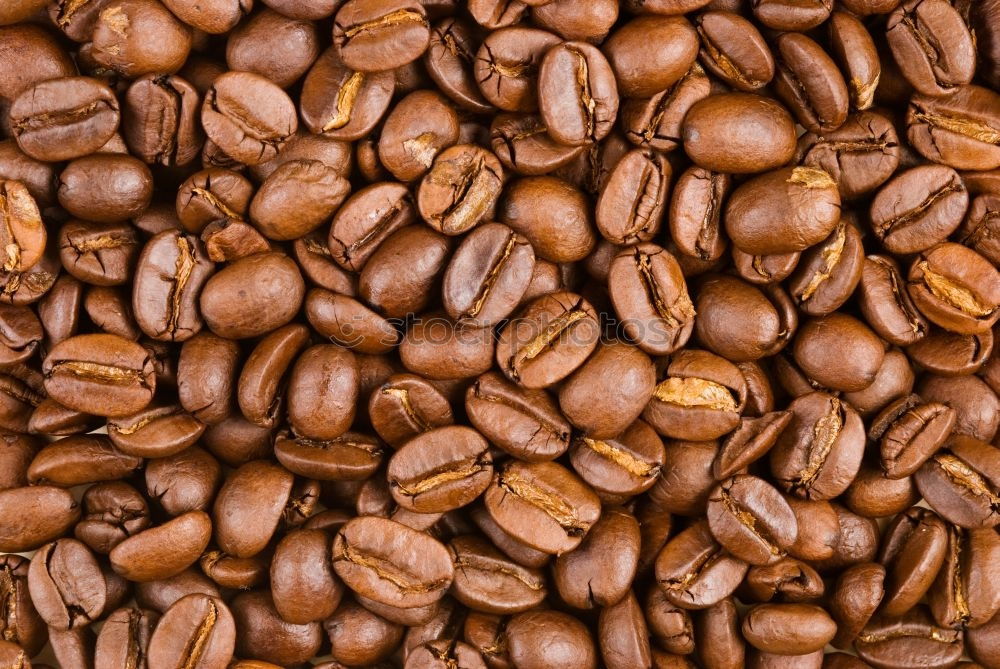 Similar – CoffeeBeans. Coffee bean