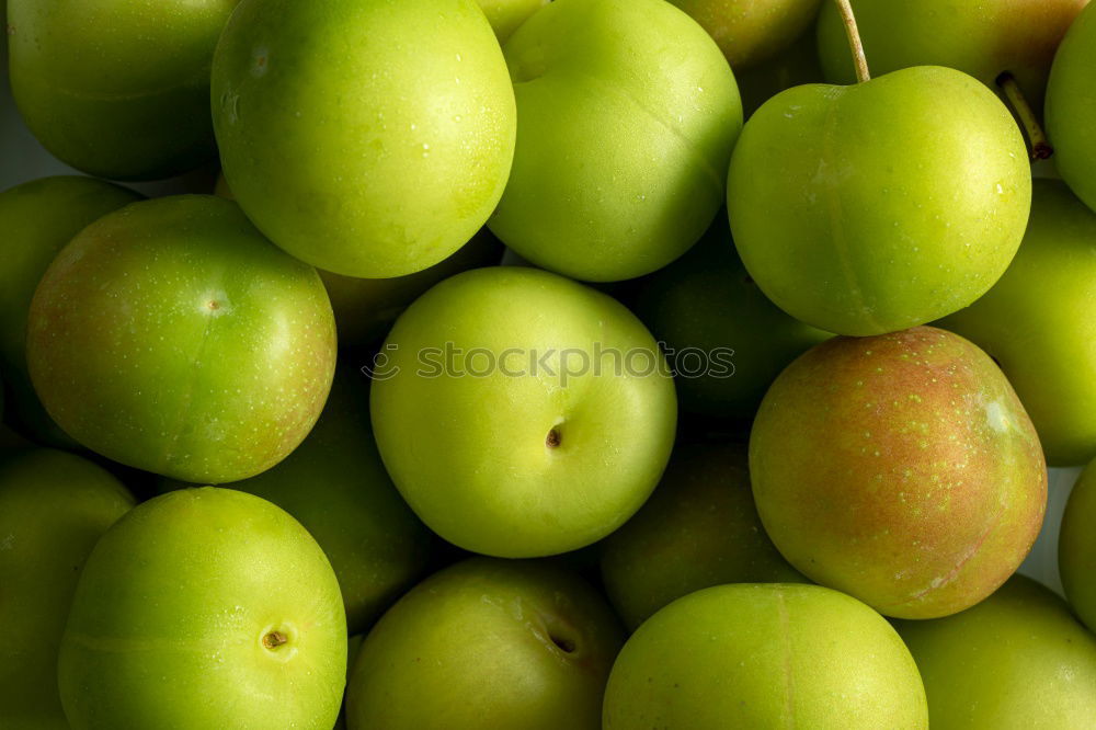 Similar – Image, Stock Photo apple harvest Environment