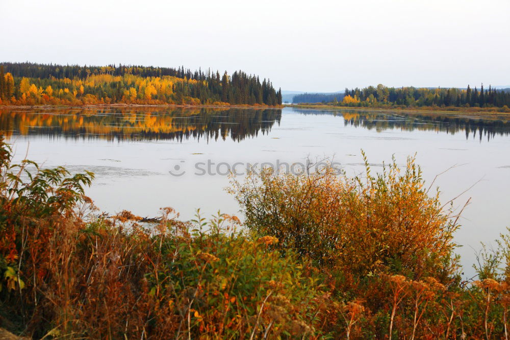 Similar – Brook crossing in Alaska