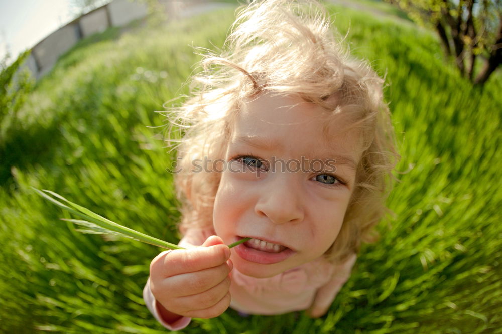 Similar – Image, Stock Photo Funny, funny, cheerful, happy, funny blonde girl outside in the garden, looks up and stretches both arms up to the tree. Little joker does nonsense, sticks out her tongue, in nature, in the park under the tree.