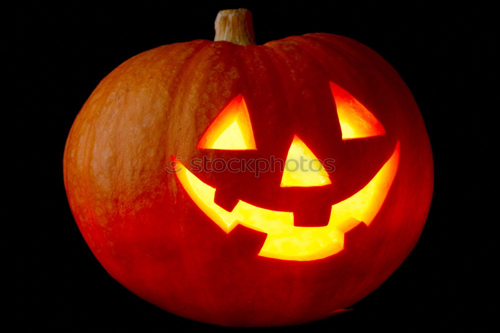 Similar – Image, Stock Photo Side view halloween pumpkin smile with fire burning eyes mouth