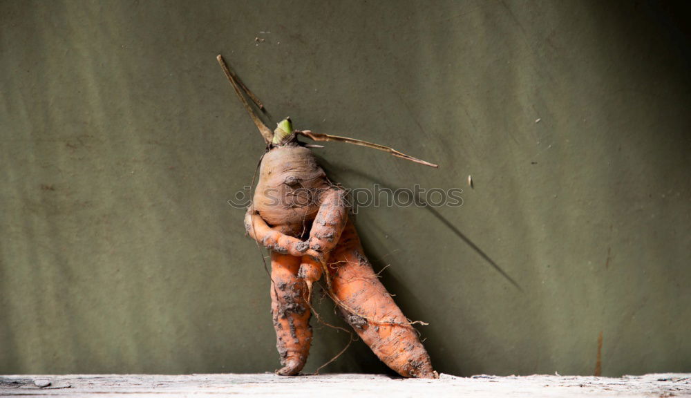 Similar – Image, Stock Photo I’ll take care of it. Food