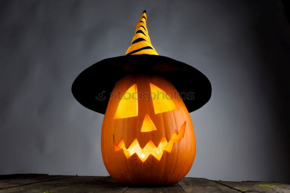 Similar – Image, Stock Photo Young boy in the Skeleton costume holding Halloween pumpkin