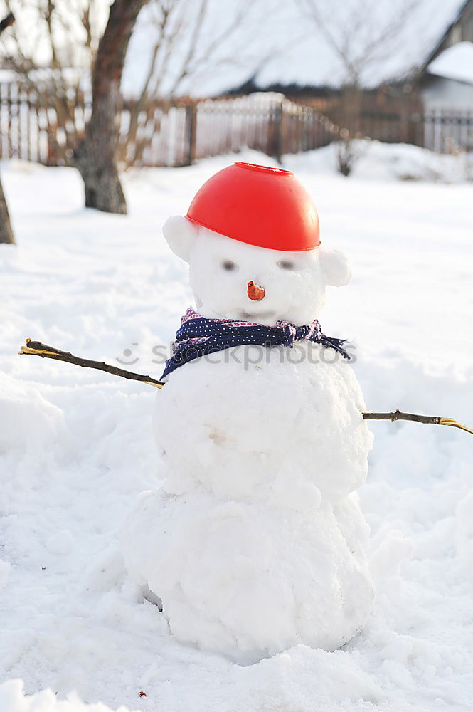 Similar – Image, Stock Photo Snowman in the yard Joy