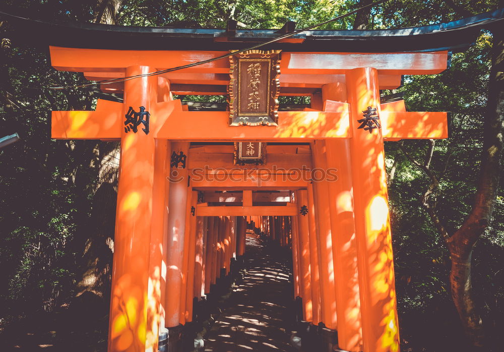 Japanese arches and path