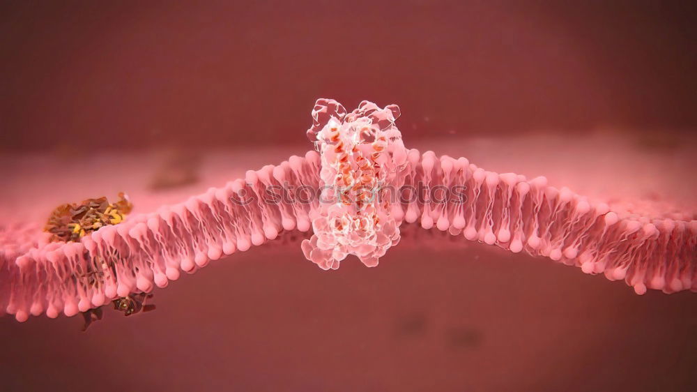 Similar – Image, Stock Photo Frozen red raspberries