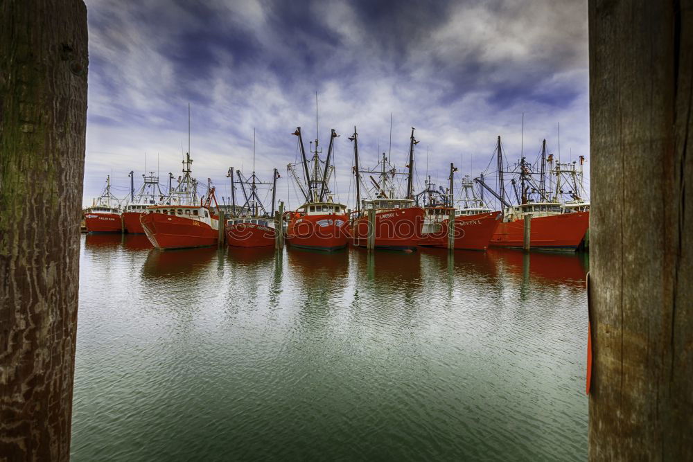 Similar – Image, Stock Photo Crab cutter in Cuxhaven