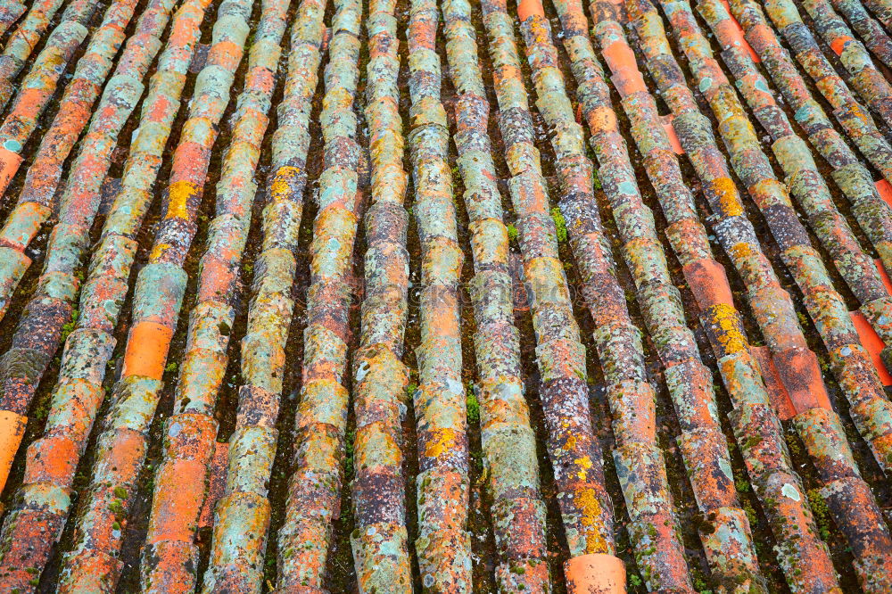 Similar – Close-up roof tile texture