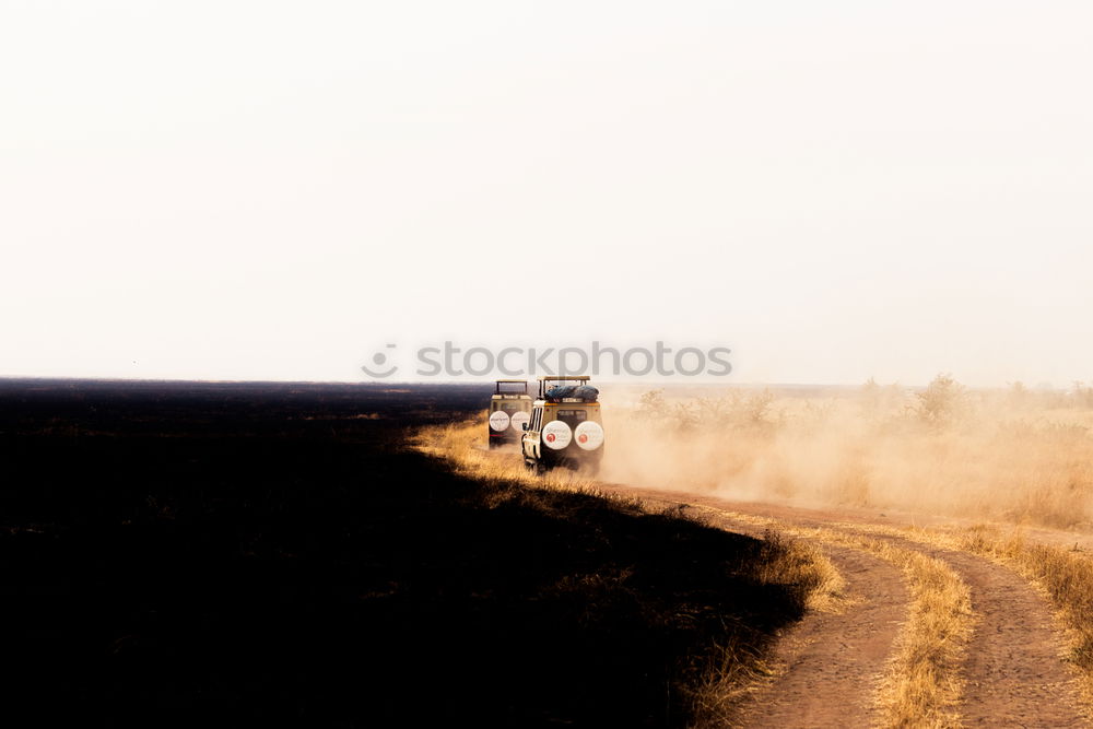 Similar – Image, Stock Photo Farmer cultivates field