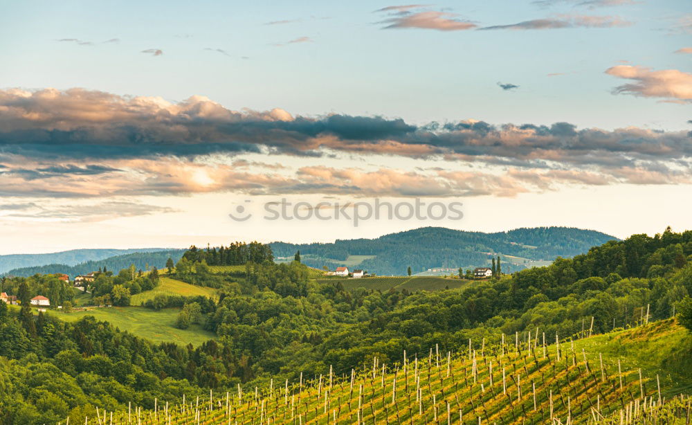 Similar – Image, Stock Photo Vine Panorama in the Ortenau near Oberkirch, Black Forest