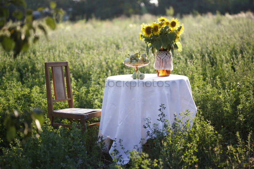 Image, Stock Photo Jag älskar sverige! Nature