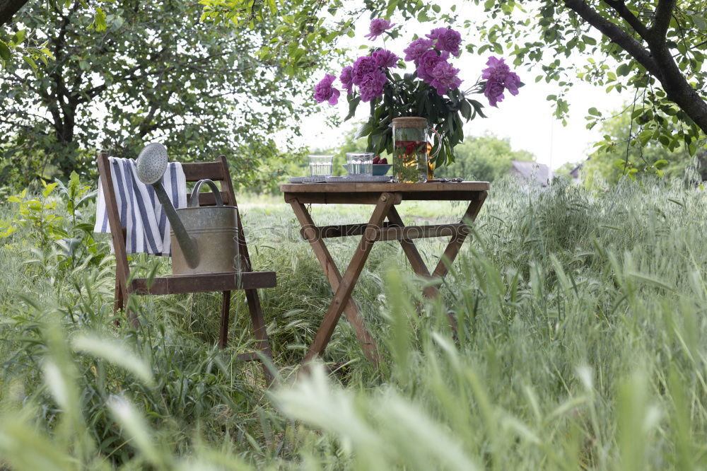 Similar – Image, Stock Photo Jag älskar sverige! Nature