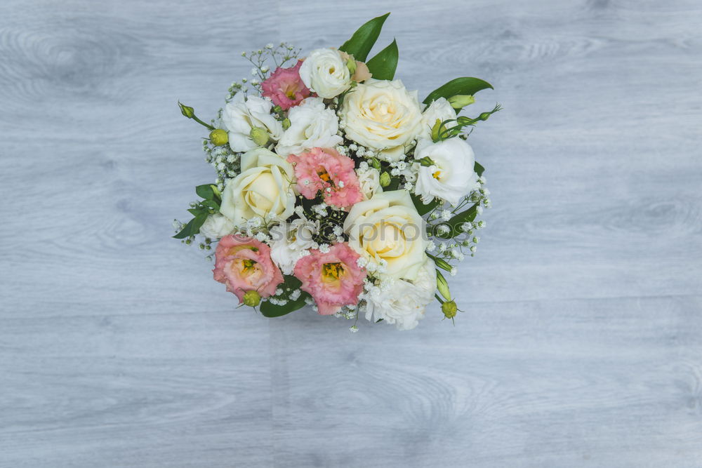 Similar – Image, Stock Photo Wonderful fresh flowers in vase