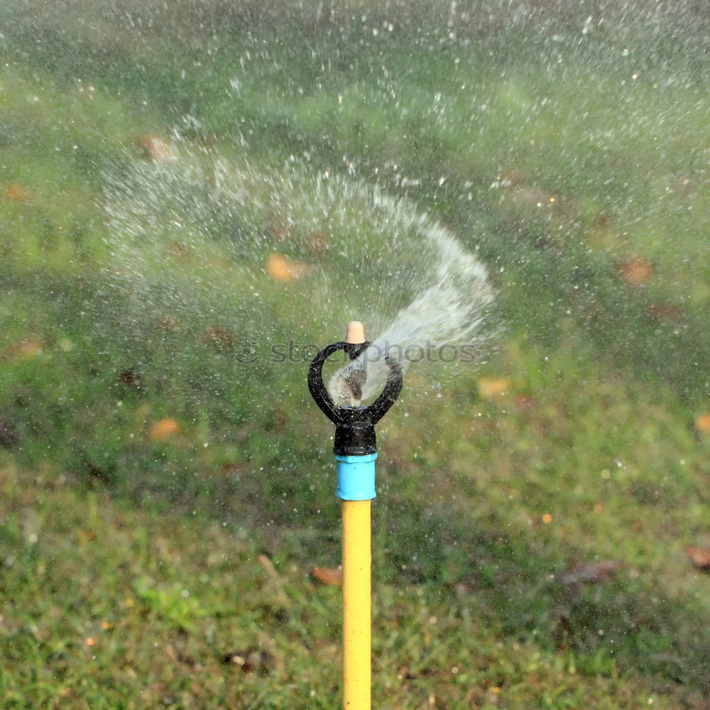 Similar – Image, Stock Photo The garden season has begun