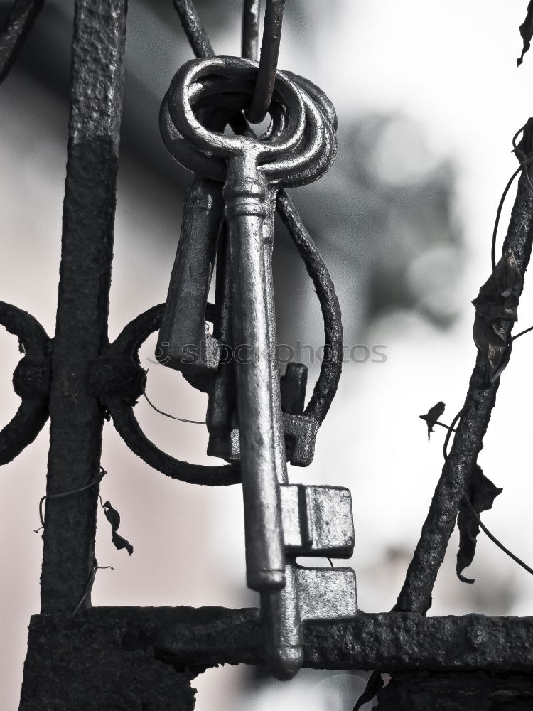 Similar – Image, Stock Photo Man holding motorcycle chains