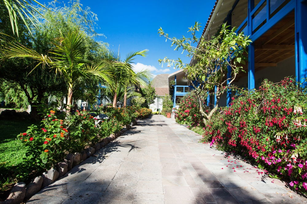 Similar – Zanzibar I Park Deserted