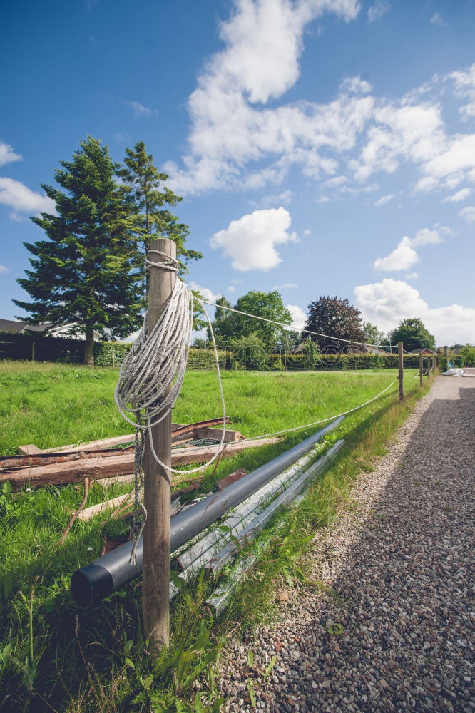 Similar – Image, Stock Photo To the latte Fence