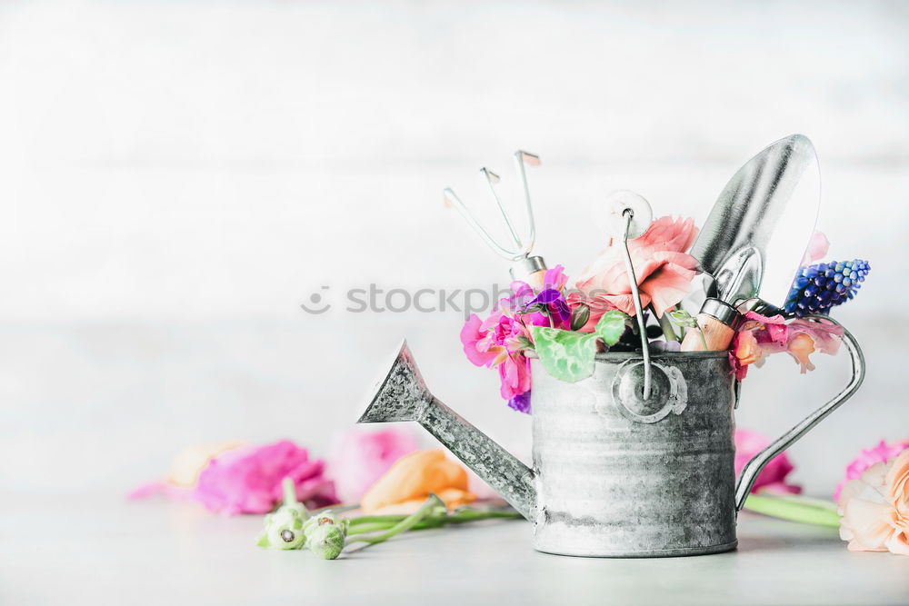 Similar – Watering can with garden flowers