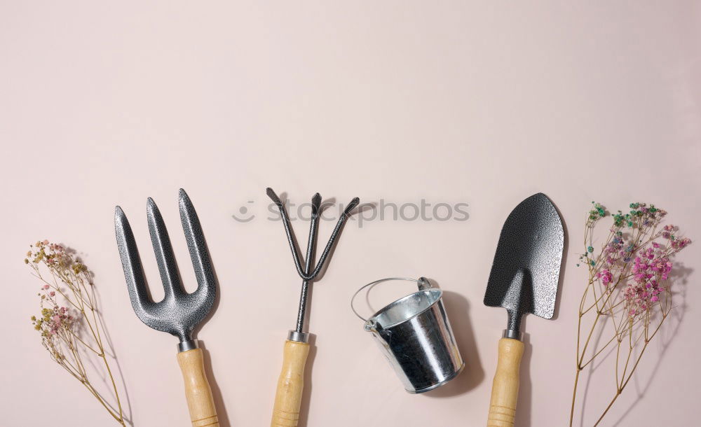 Similar – Image, Stock Photo Easter baking utensils with quail eggs