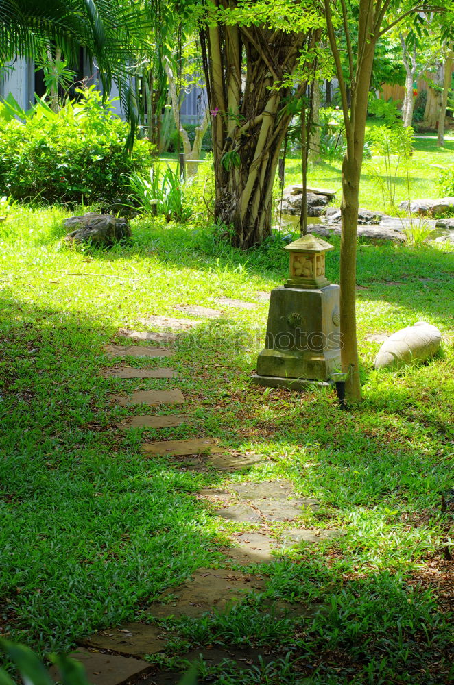 Similar – An old quiet graveyard in Macao, China