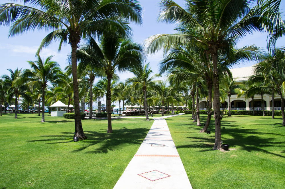 Similar – Zanzibar I Park Deserted