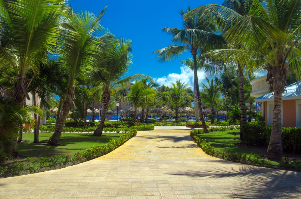 Similar – Zanzibar I Park Deserted