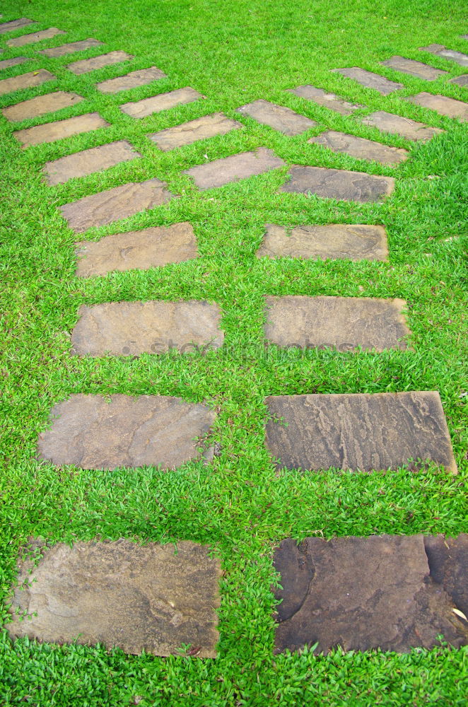 Similar – green ways (3) Pave Furrow