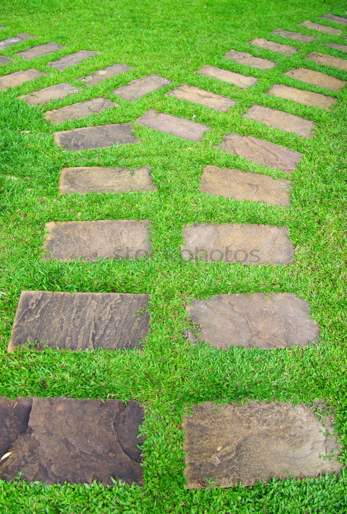 Similar – green ways (3) Pave Furrow