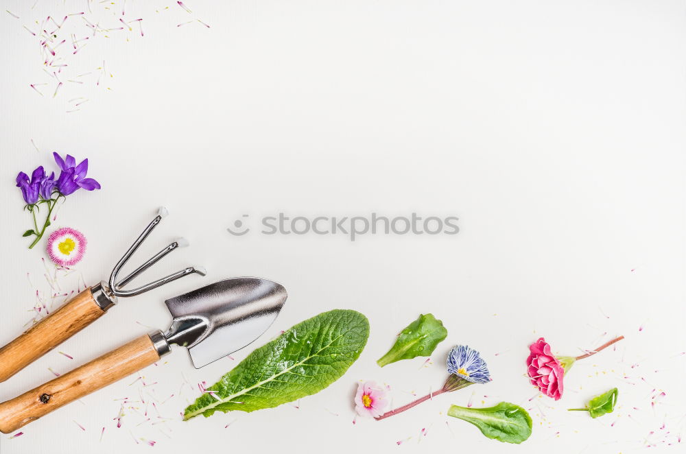 Similar – Hand shovel and garden flowers