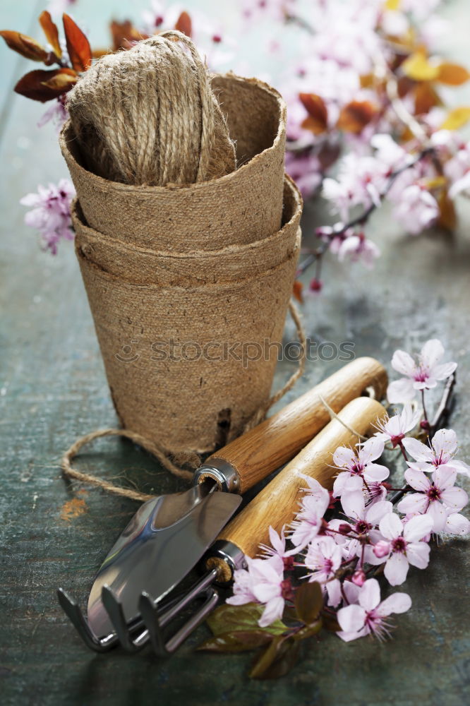 Similar – Image, Stock Photo bouquet of white flowering lilies of the valley